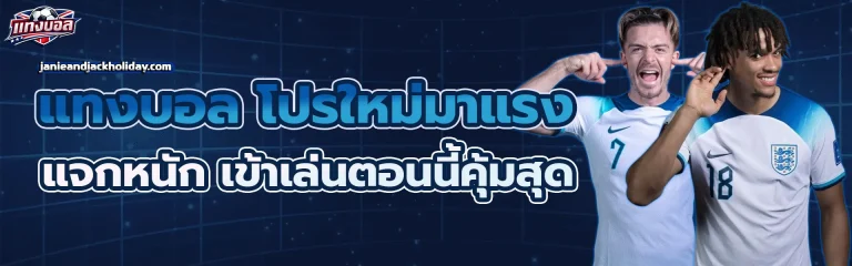 หา เว็บ บอล
